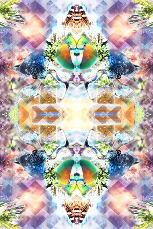 鸟 蝴蝶 昆虫 树木 花草 人像 镜像印花华亿平台图片