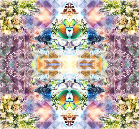 鸟 蝴蝶 昆虫 树木 花草 人像 镜像印花华亿平台图片