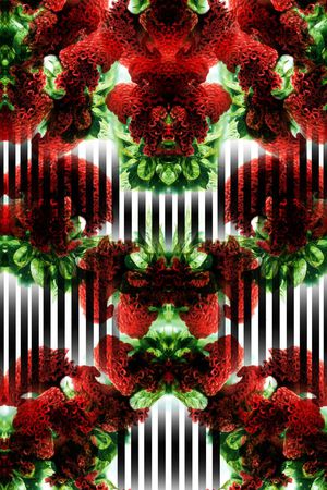 经典印花华亿平台图片