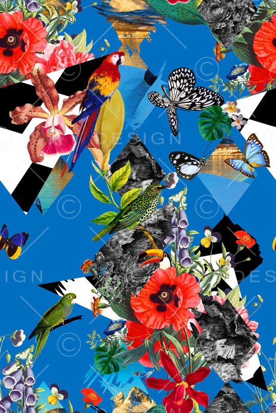 数码 时尚大牌 几何花鸟印花华亿平台图片