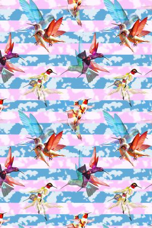 飞鸟 鸟 彩云 云层 叠加 冲突 翅膀印花华亿平台图片