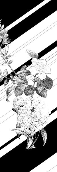 黑白印花华亿平台图片