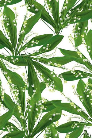 潮流印花华亿平台图片