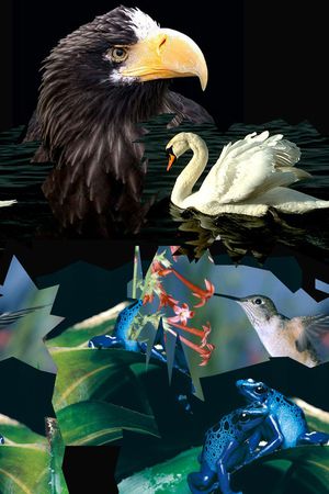 潮流印花华亿平台图片