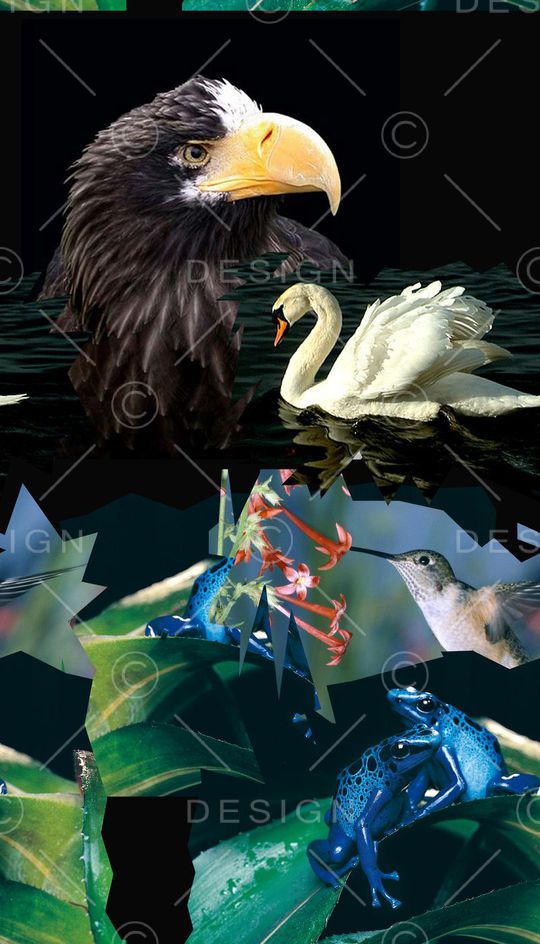 潮流印花华亿平台图片