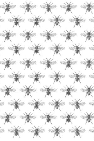 black and white印花华亿平台图片