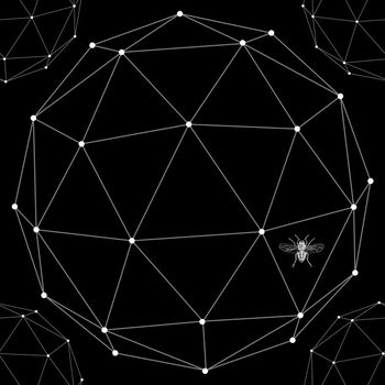 black and white印花华亿平台图片