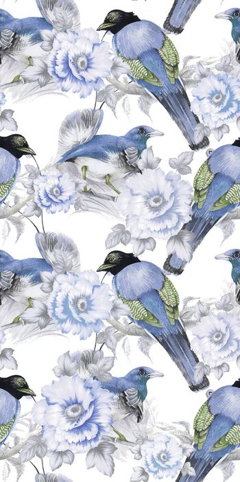 404065-彩铅手绘花鸟