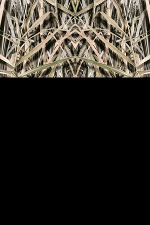 aa印花华亿平台图片