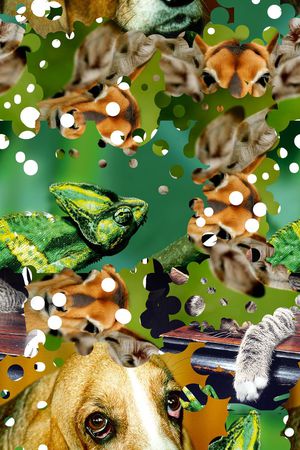 潮流印花华亿平台图片