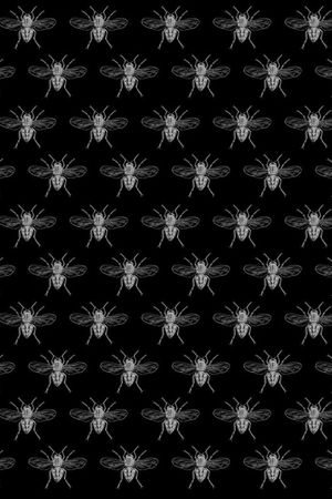 black and white印花华亿平台图片