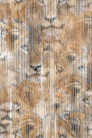 潮流印花华亿平台图片