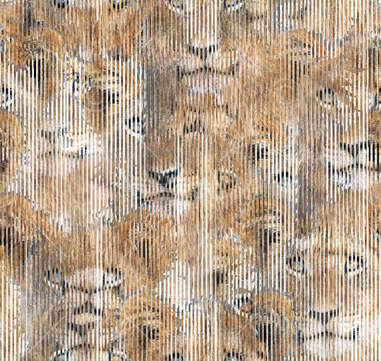 潮流印花华亿平台图片