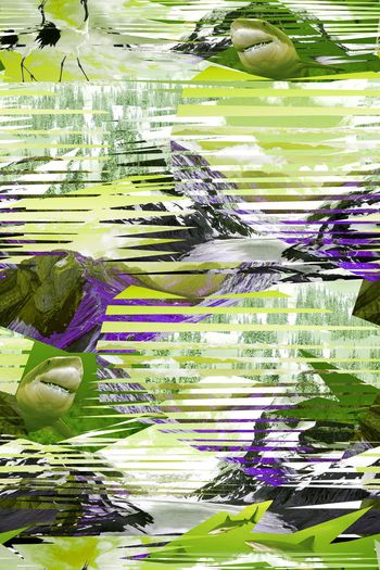 404238-大自然拼贴