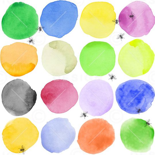 colors印花华亿平台图片