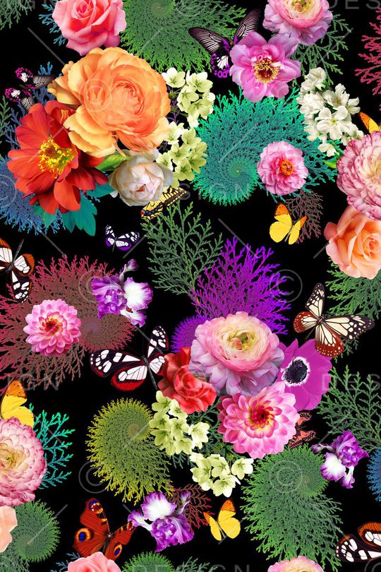 大气女装印花华亿平台图片