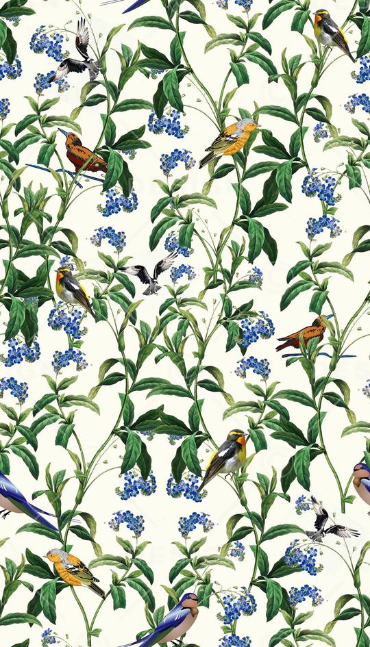 女装印花华亿平台图片