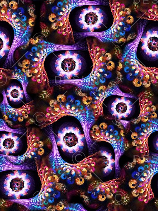 黑底花卉印花华亿平台图片