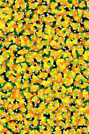 流行迷彩印花华亿平台图片