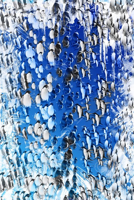 家园印花华亿平台图片