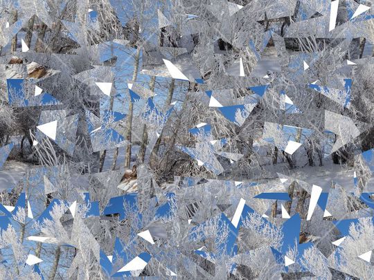 冰冻霜露印花华亿平台图片