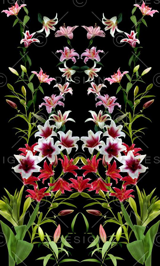 百合花印花华亿平台图片