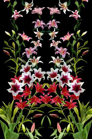 百合花印花华亿平台图片