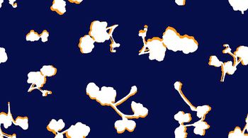 405358-双色正负版小花