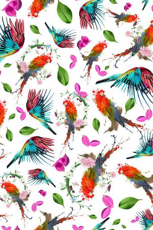 动物印花华亿平台图片