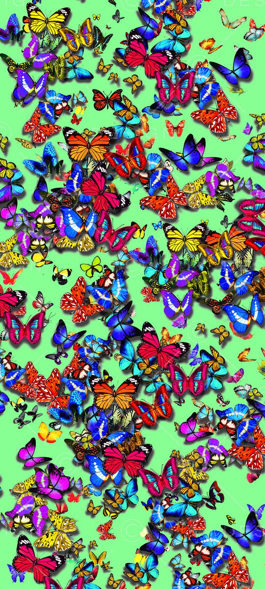 动物印花华亿平台图片