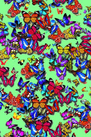 动物印花华亿平台图片