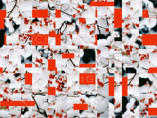 潮流印花华亿平台图片