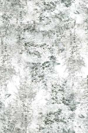 潮流印花华亿平台图片