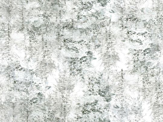 潮流印花华亿平台图片