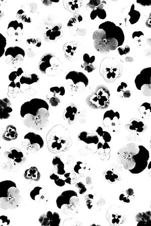 时尚印花华亿平台图片