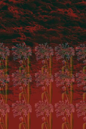 花印花华亿平台图片