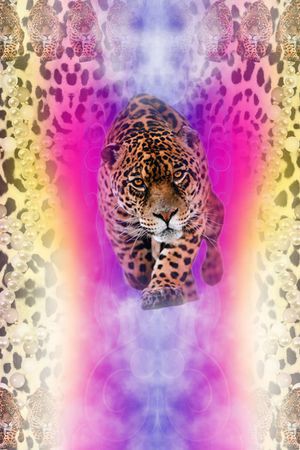 时尚印花华亿平台图片