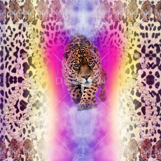 时尚印花华亿平台图片