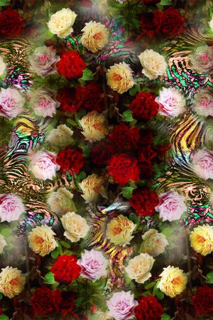 红印花华亿平台图片