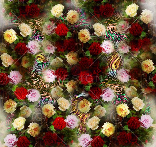 红印花华亿平台图片