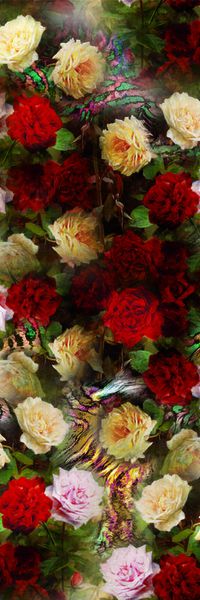 红印花华亿平台图片