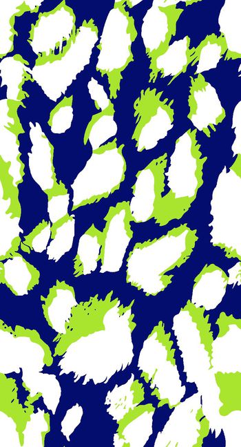 405753-双色大豹点