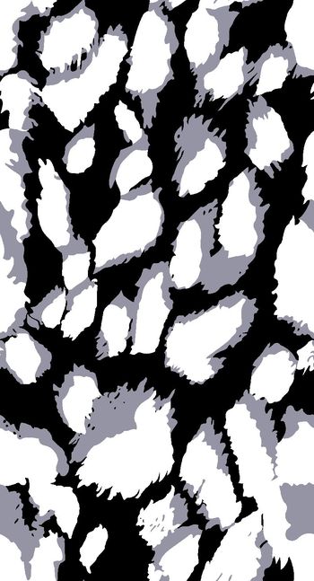 405754-双色大豹点