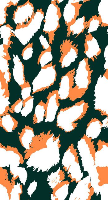 405755-双色大豹点