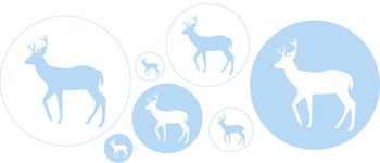 animal印花华亿平台图片