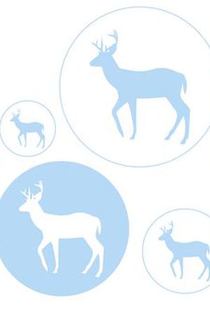 animal印花华亿平台图片