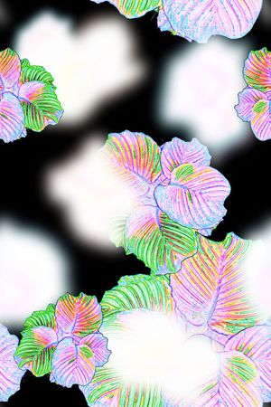 观叶植物印花华亿平台图片