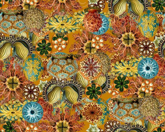 潮流印花华亿平台图片