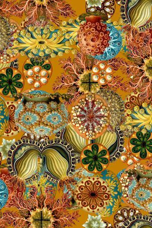 潮流印花华亿平台图片