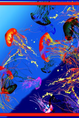 时尚印花华亿平台图片